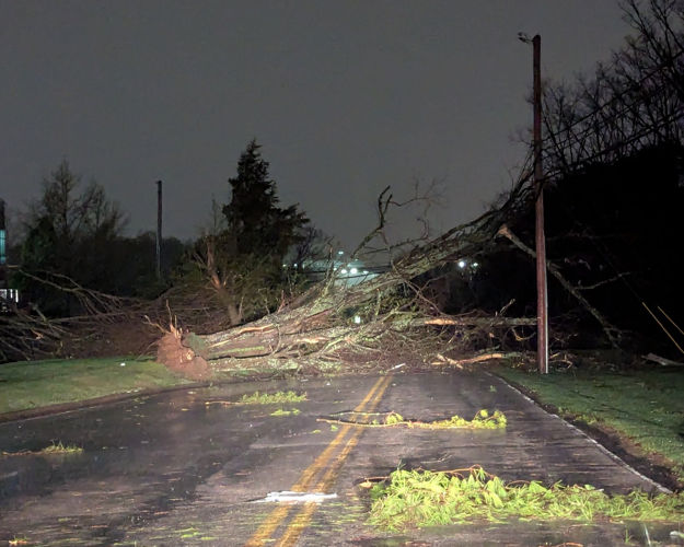 Erica Combs - Plantside Drive storm damage 4.3.25