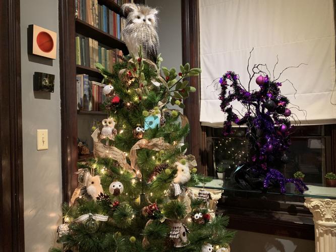 FESTIVAL OF TREES - KEITH KAISER 11-21-19  (8).jpeg