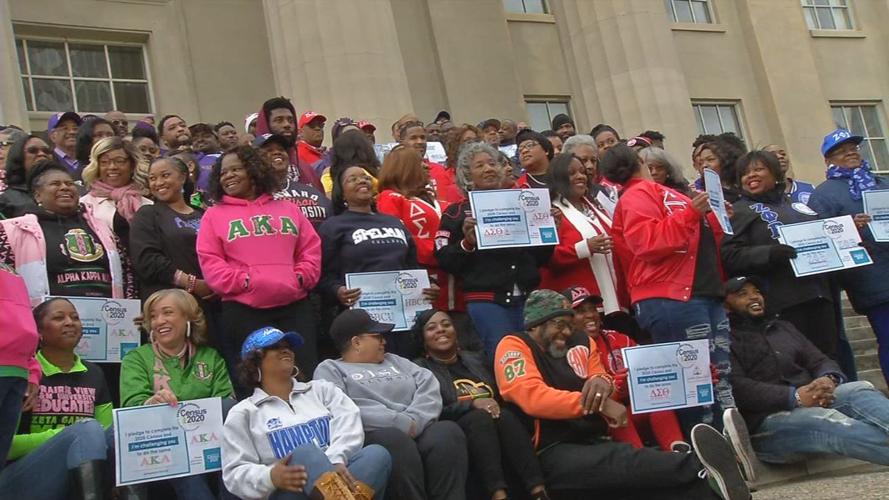 minority census participation