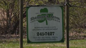 Manager says staff weren’t told dogs could be aggressive before attack at east Louisville kennel