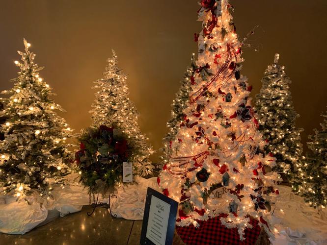 FESTIVAL OF TREES AND LIGHTS 4.JPG
