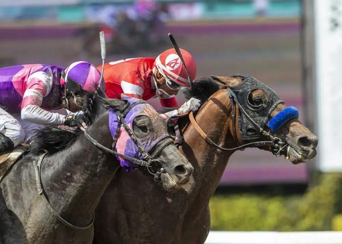 Practical Move and jockey Ramon Vazquez.jpg