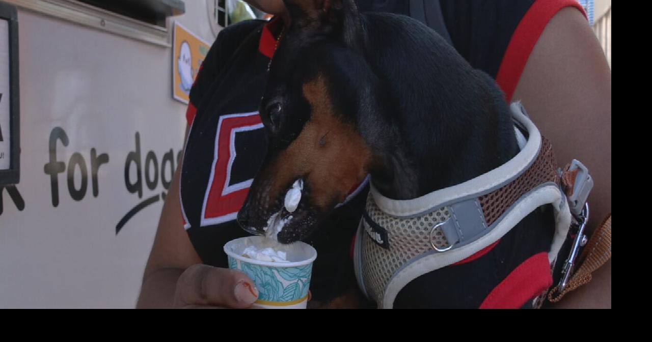 Howl-o-ween fun | NuLu hosts pet-friendly ‘Ghouls and Drools’ Halloween celebration | Local News