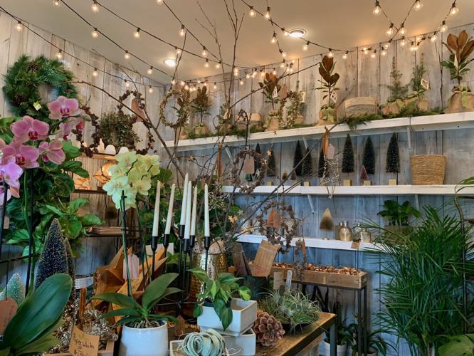 Digs Home and Garden