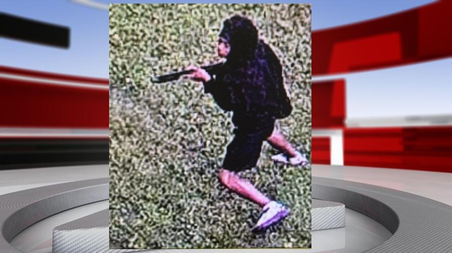 algonquin park suspect.jpg