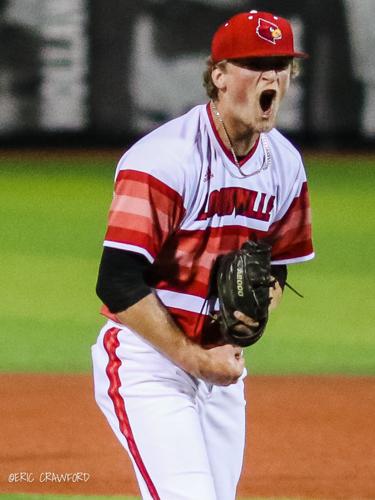 Louisville baseball Michael McAvene