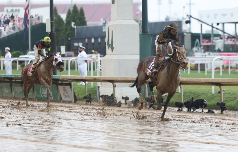 horse closes near finish line in mud.JPG