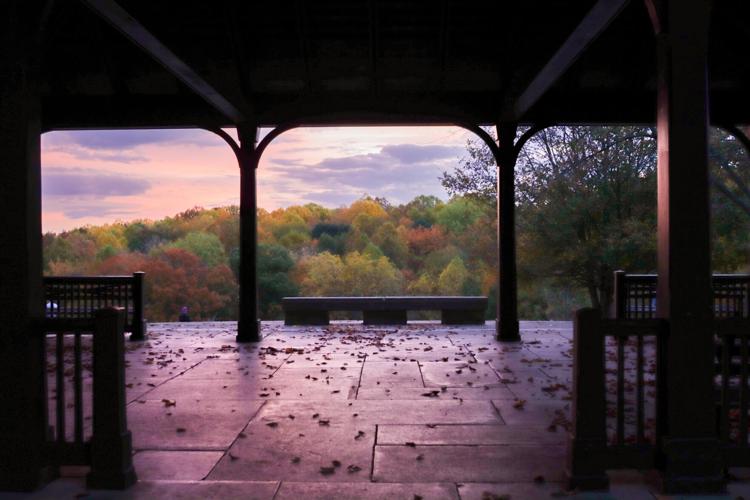 CHEROKEE PARK - LOUISVILLE OLMSTED PARKS CONSERVANCY.jpg