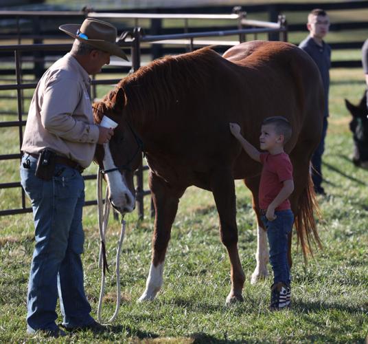 Meet the Horses