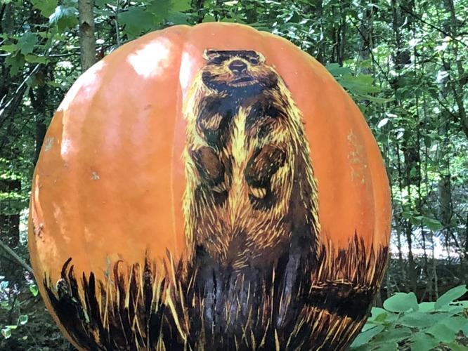 Jack O' Lantern Spectacular preps - 10-8-19 (14).jpg