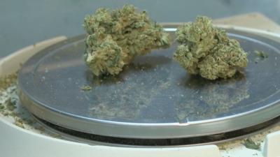 BESHEAR MEDICAL MARIJUANA