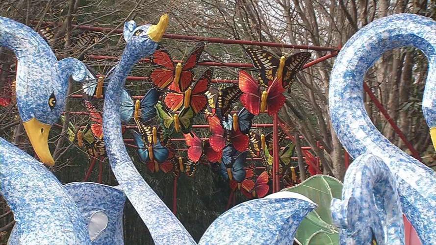 Louisville Zoo Asian lantern festival preps.jpg