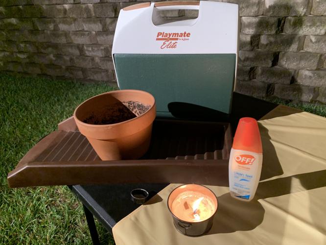 MOSQUITO ABATEMENT - KEITH KAISER - 6-25-19  (2).jpg