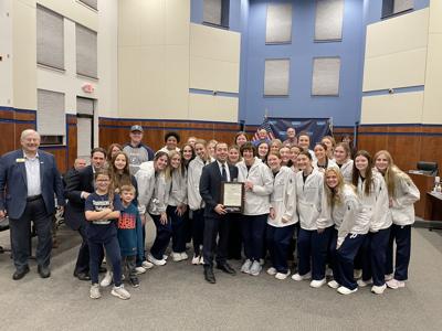 Providence Volleyball by town council.jfif