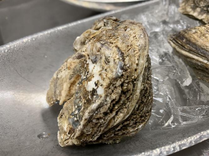 TASTE OF SOUTHERN INDIANA - KEITH KAISER - 7-22-19  (10).jpg