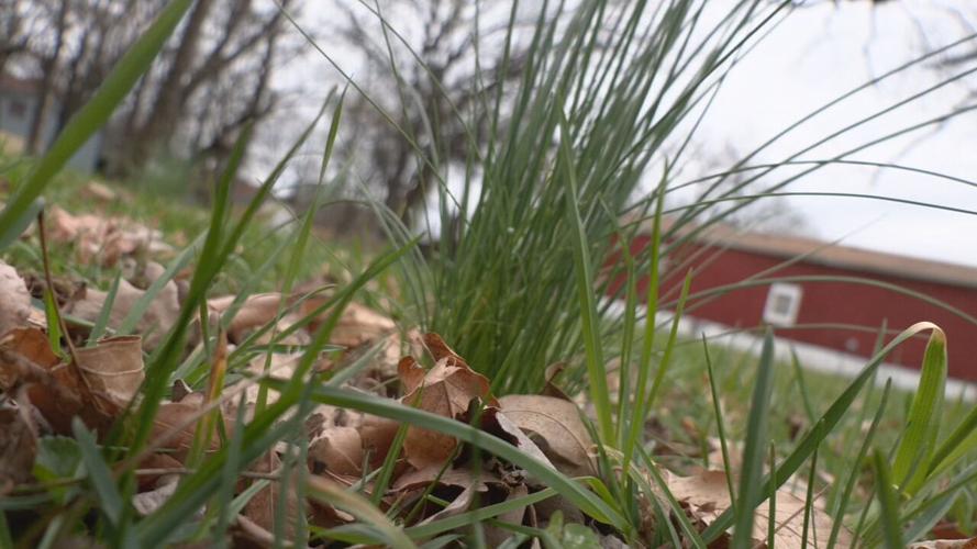 VACANT HOMES TO ANCESTORS