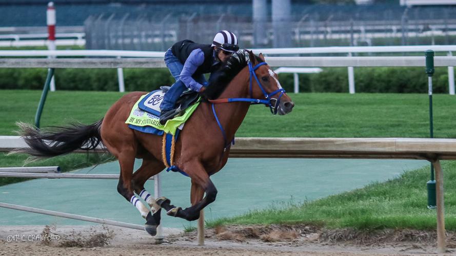 Training - Plus Que Parfait