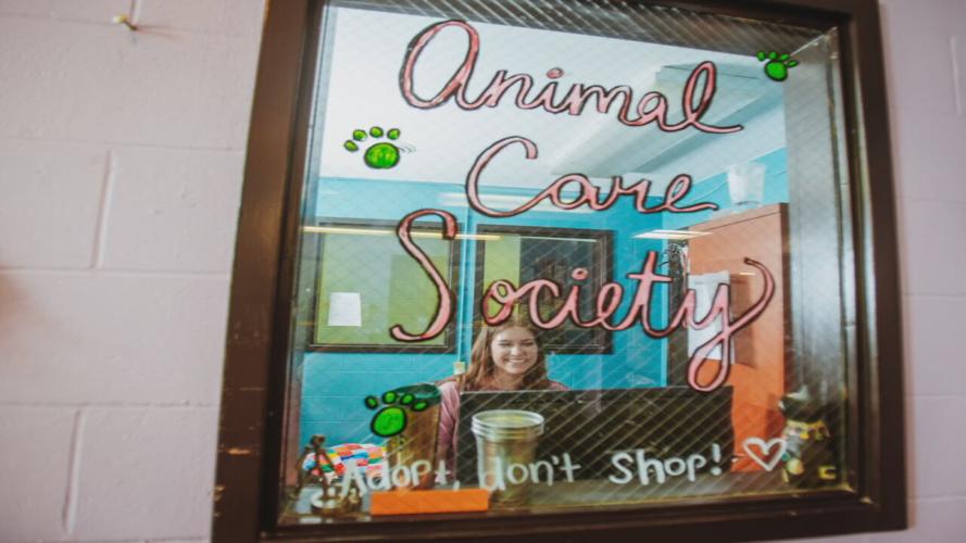 Animal Care Society
