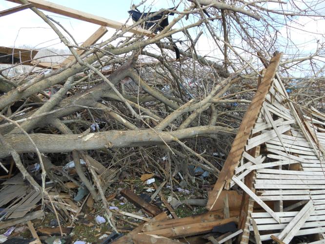 HENRYVILLE TORNADO DAMAGE MARCH 2012 (36).JPG