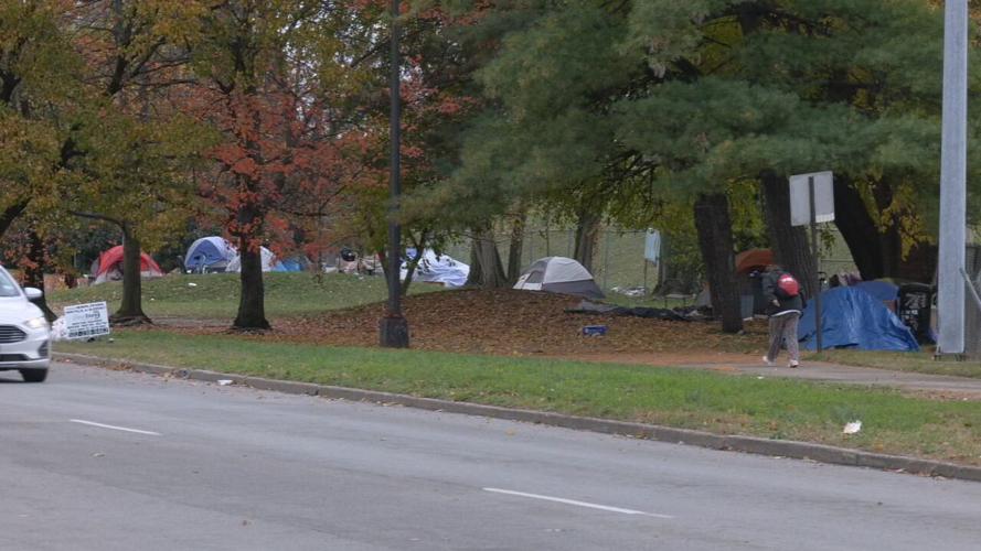 HOMELESS CAMP CLEAROUT - EAST LIBERTY AND JEFFERSON 11-18-2021  (3).jpeg