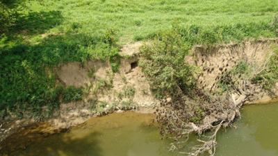 Nelson County remains found
