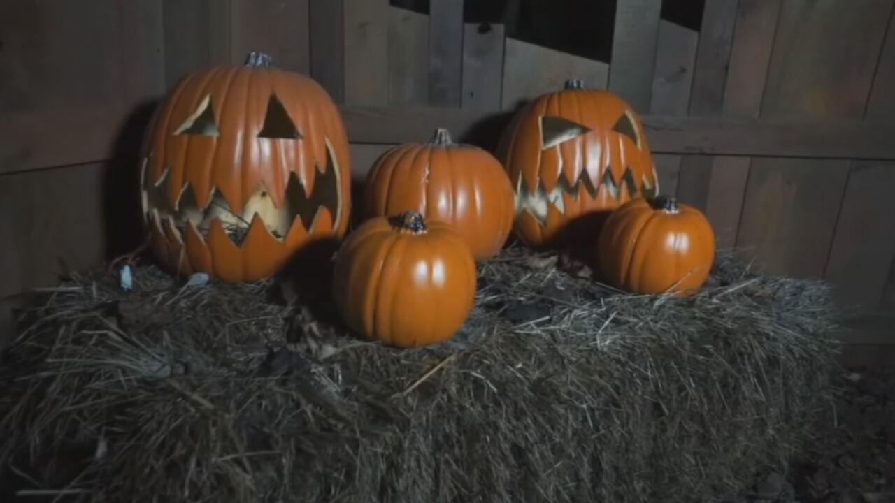 Halloween Festival In Louisville Returns For Six Weekends This Fall ...