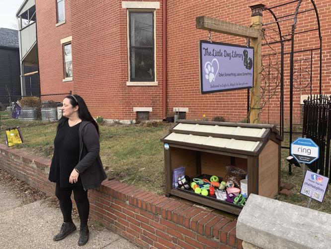 Little Dog Library