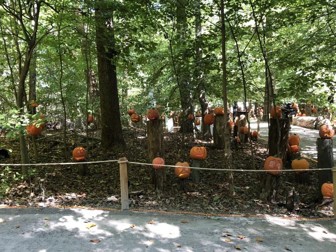 Jack O' Lantern Spectacular preps - 10-8-19 (15).jpg