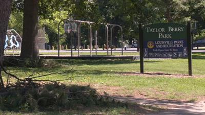 Taylor Berry Park