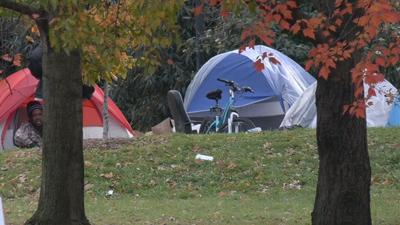 HOMELESS CAMP CLEAROUT - EAST LIBERTY AND JEFFERSON 11-18-2021  (1).jpeg