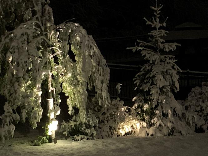 RECORD APRIL SNOW (1).jpg