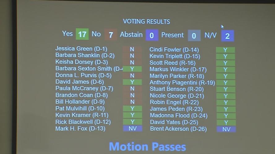 Panhandling Ordinance Vote Results