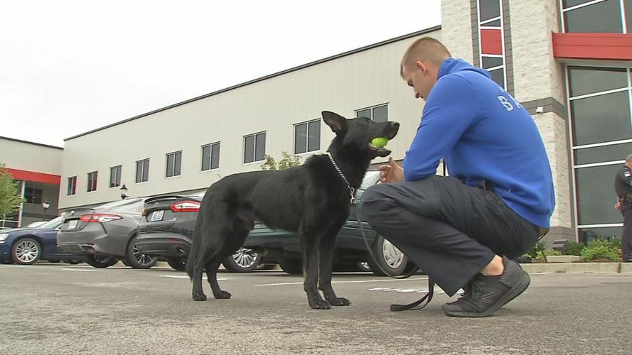 Mt. Washington drug dog and handler