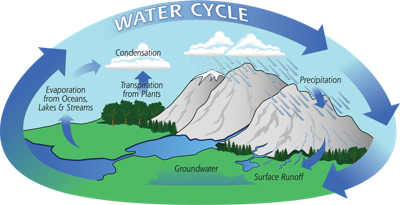 Water-Cycle-Art2A_medium.png