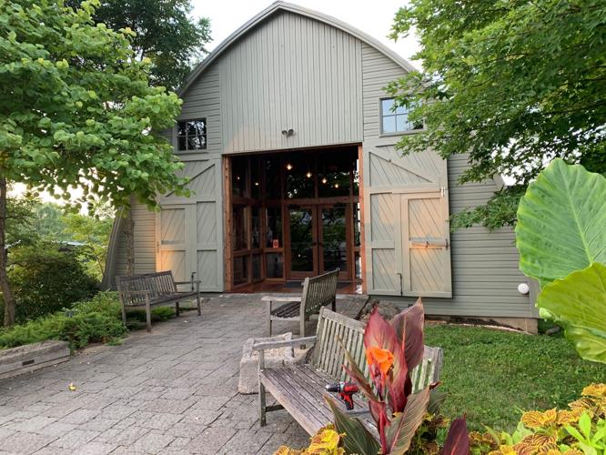 Yew Dell Sunflowers 3.jpg