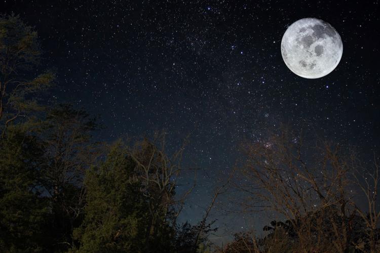 Full moon Bernheim