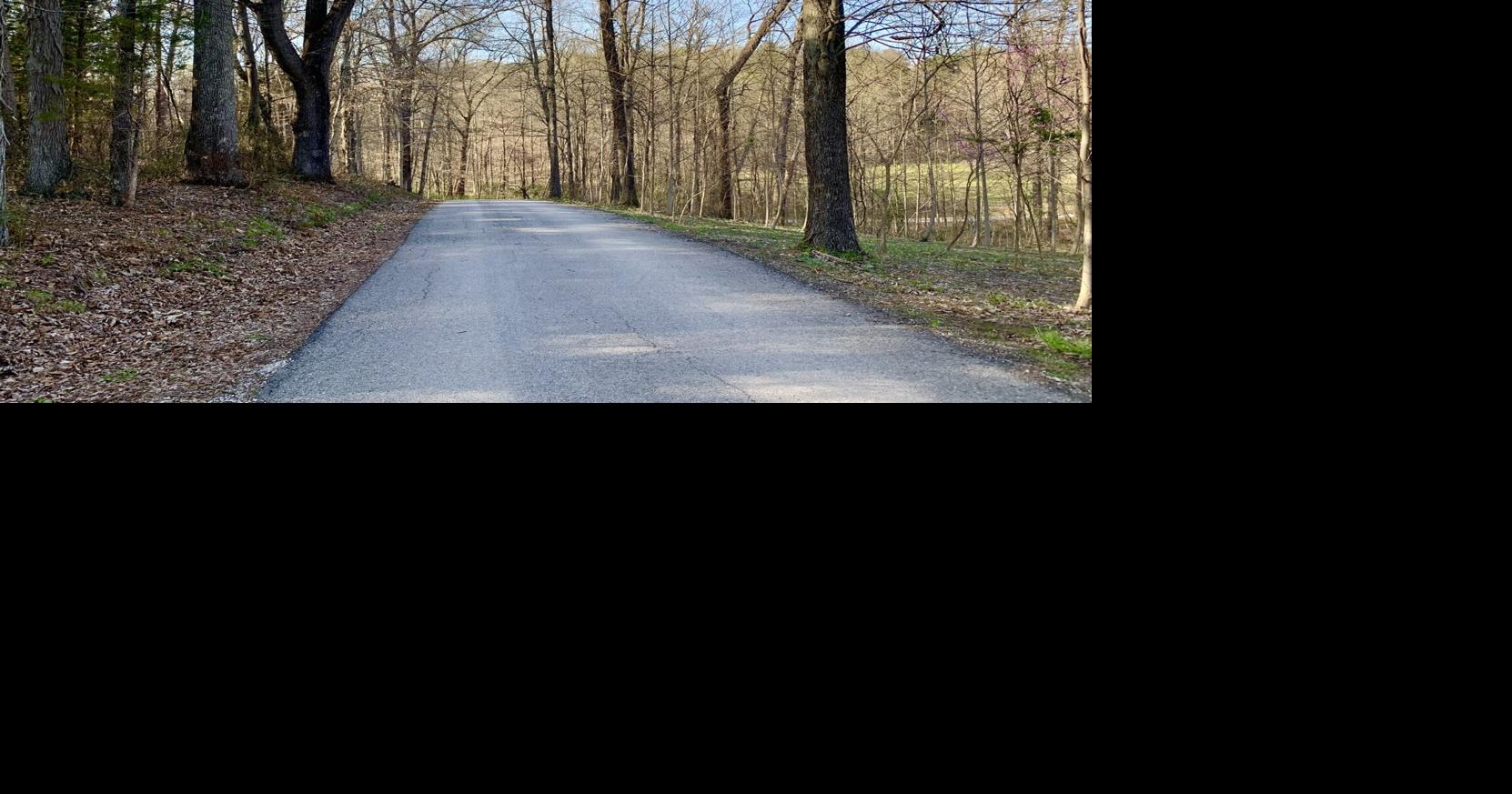 ISP says search for identity of 5yearold boy found in suitcase is