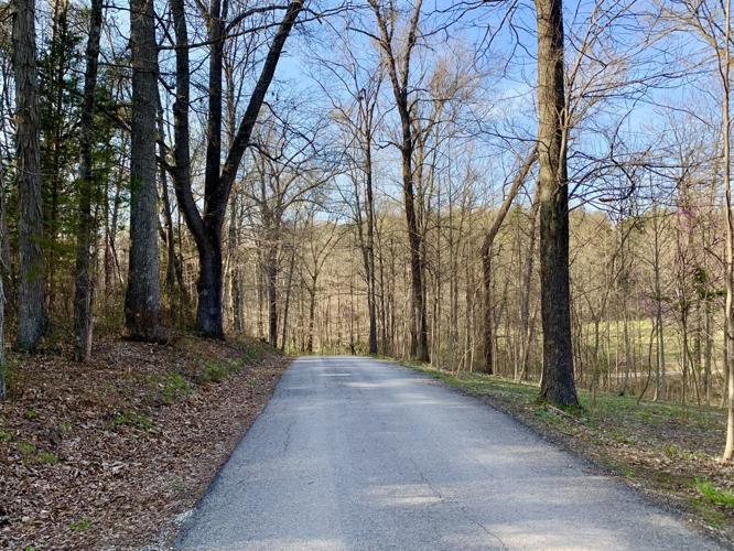 Washington County, Indiana woods where child's body was found
