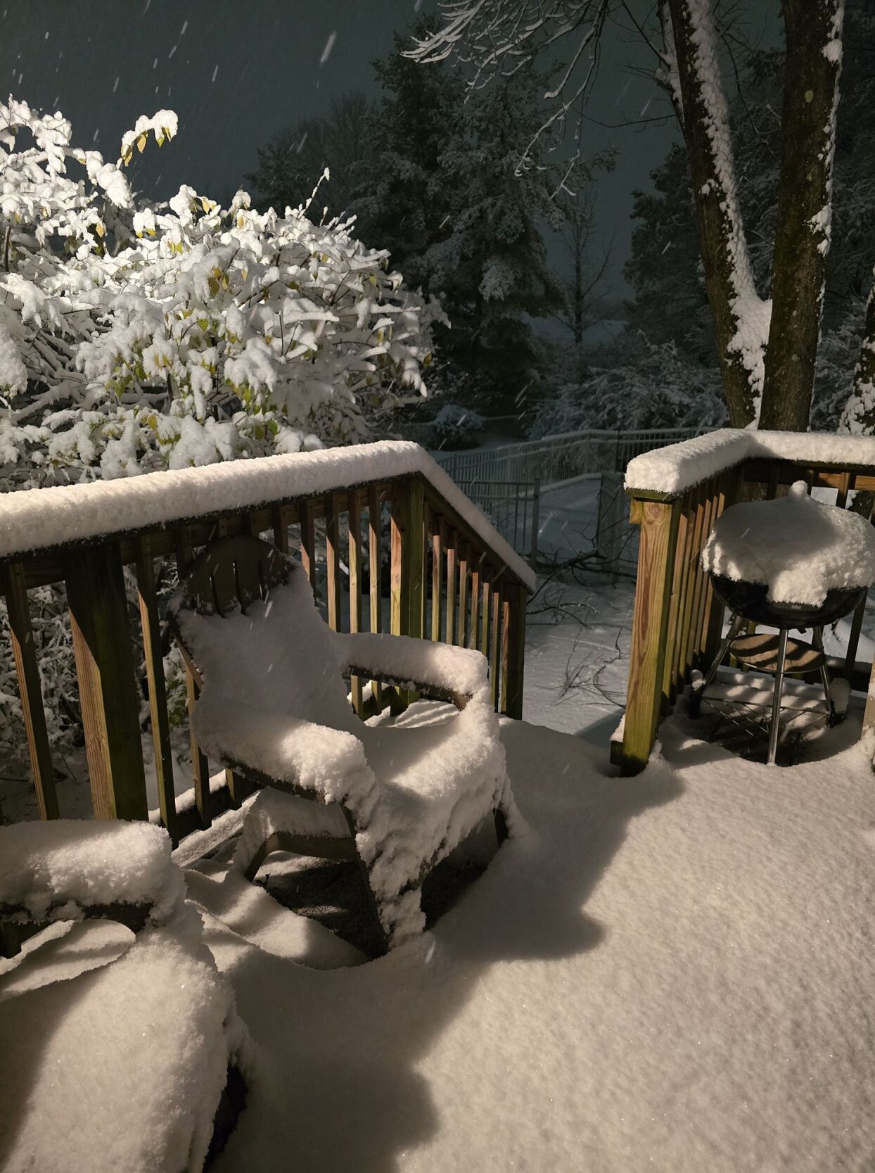 Kentuckiana snow from Cody Webb 12.02.2025.jpg