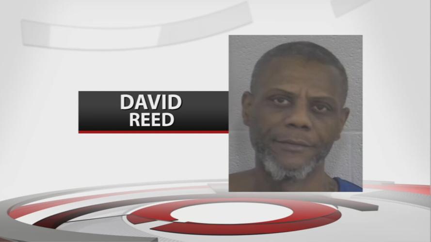 David Reed