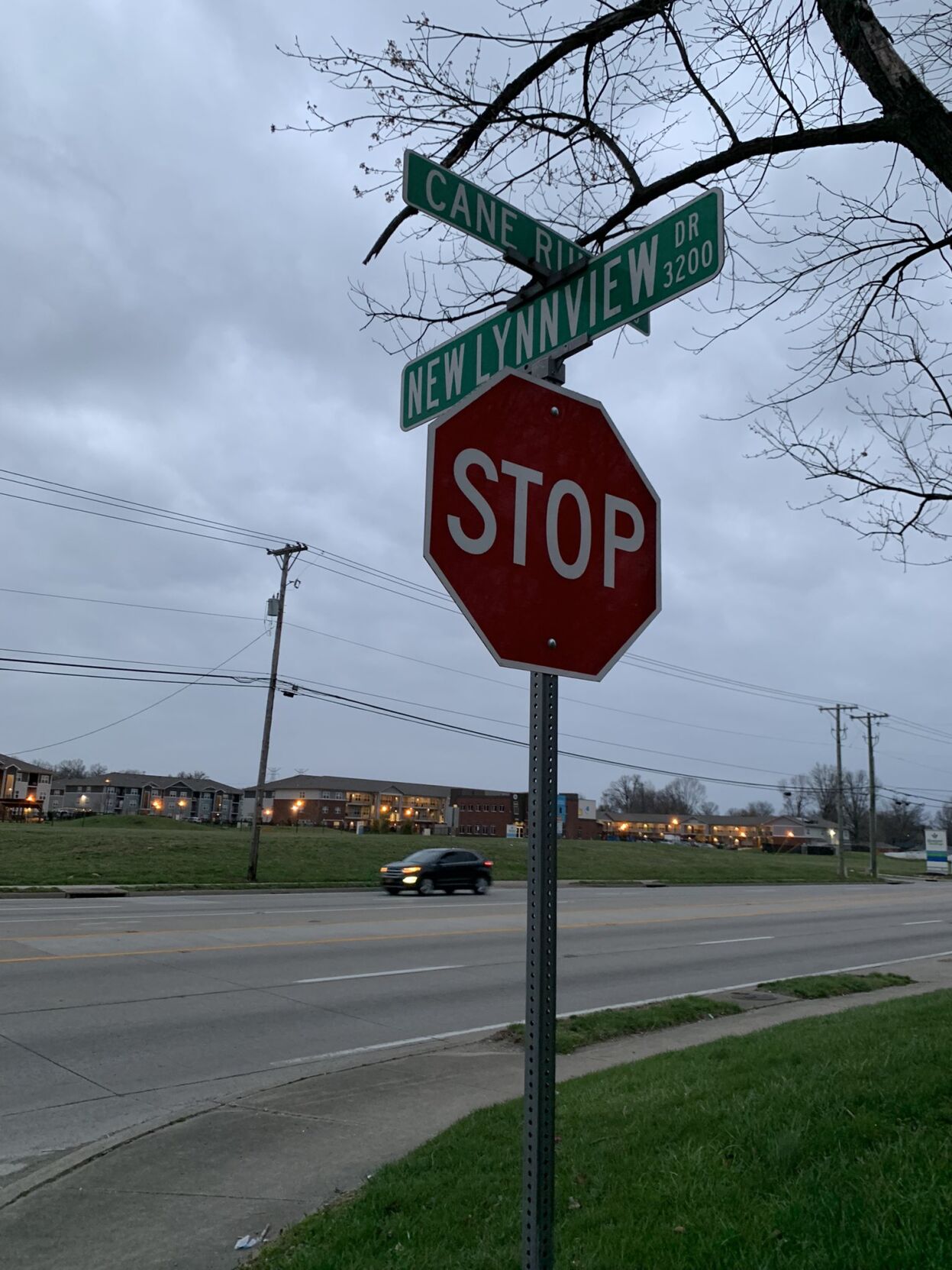 Lynnview shooting