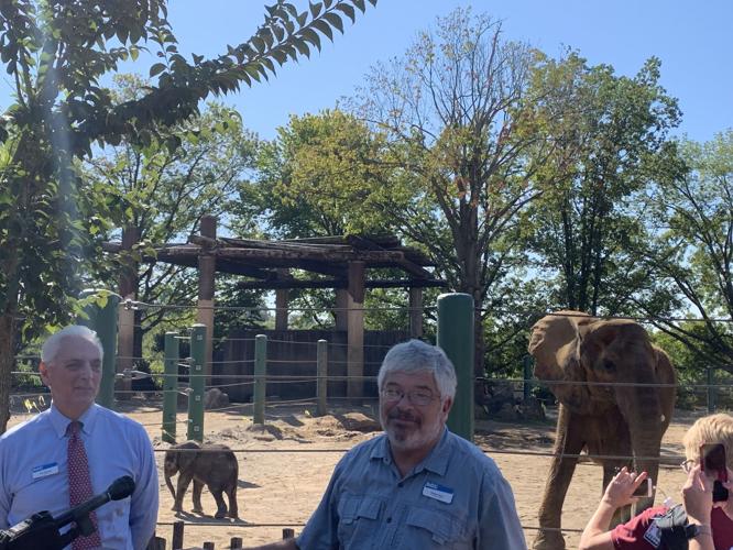 LOUISVILLE ZOO - BABY ELEPHANT DEBUT - MIKKI - 9-5-19  (10).jpg