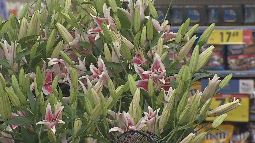 Kroger Lilly Garlands.jpeg