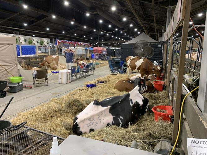 1st Day of Kentucky State Fair