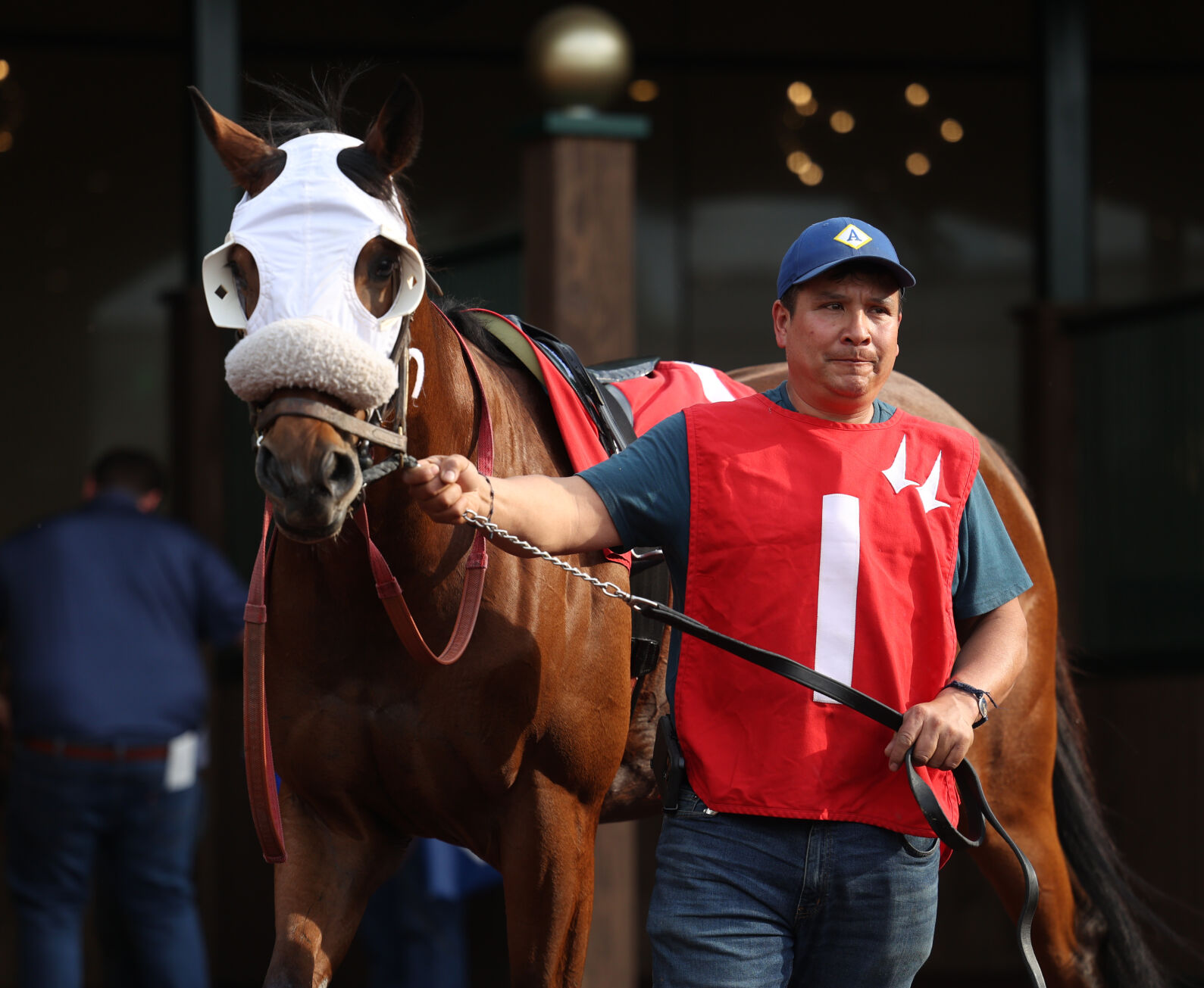 Horse prepares in the Paddock on Opening Night.JPG