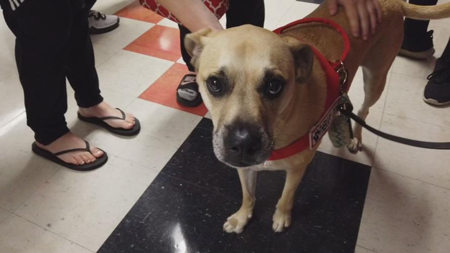 Pleasant Ridge Park High School eases student stress with newest addition