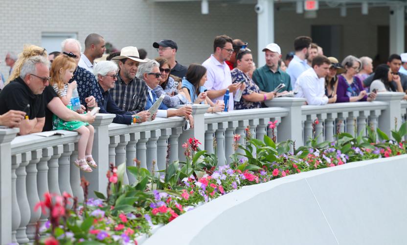People crowd around the paddock.JPG