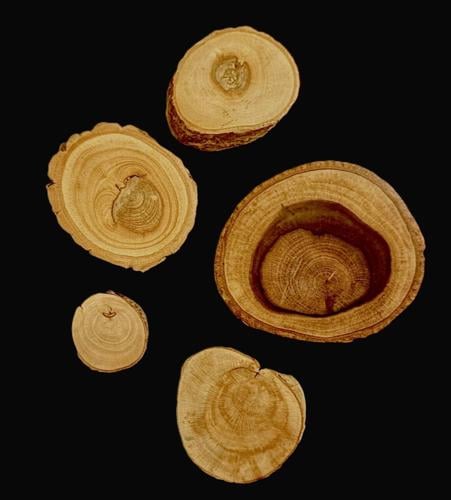 wx1226245 cookies.jpg