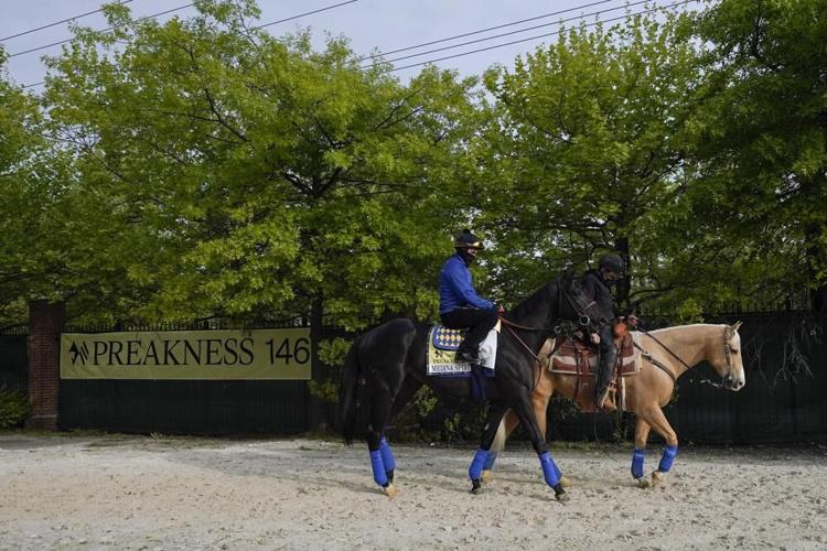 PREAKNESS PREPS - MEDINA SPIRIT - AP 5-12-2021 2.jpeg
