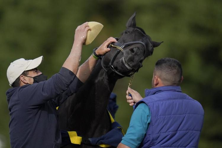 PREAKNESS PREPS - MEDINA SPIRIT - AP 5-12-2021 3.jpeg